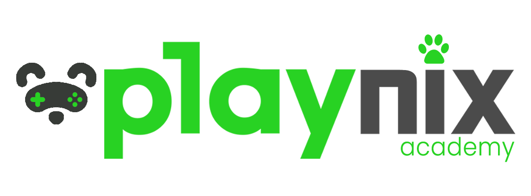 Playnix Academy